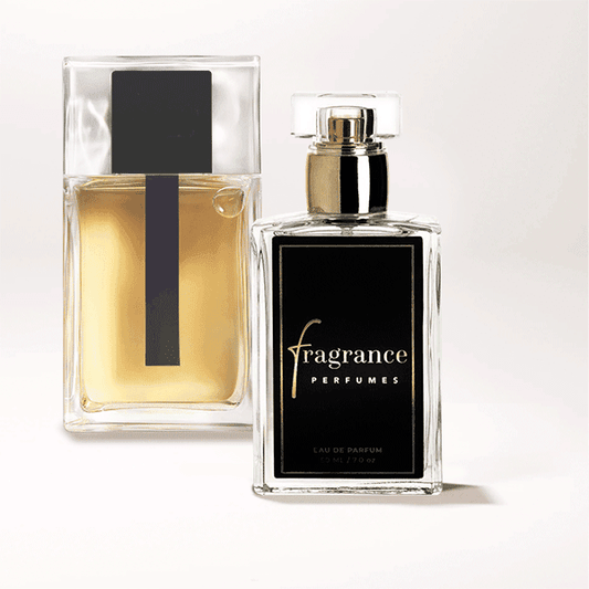 Inspiracija Christian Dior – Dior Homme